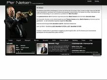 Musiker Per Nielsen